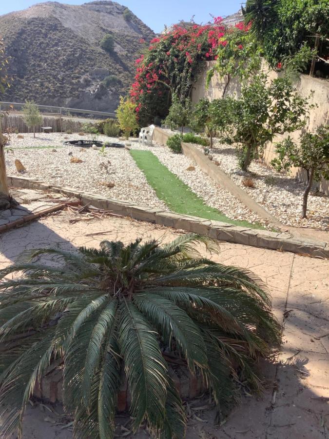 Cortijo De La Fuente Homestay