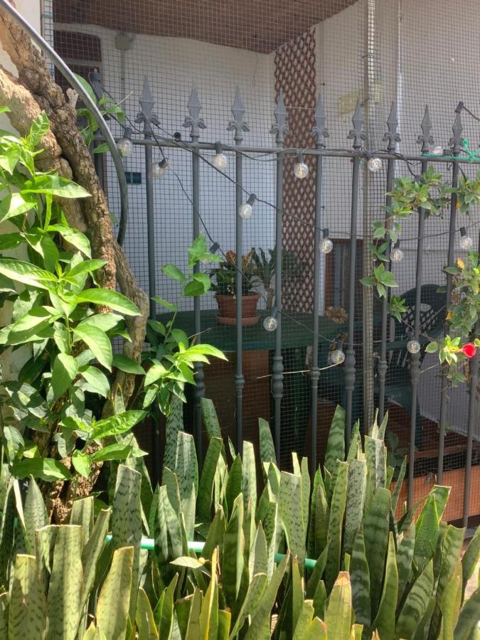 Cortijo De La Fuente Homestay *
